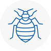 Bed Bug Extermination In N14