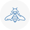 Bee Nest Removal N14