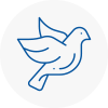 Bird Prevention N14