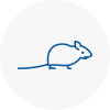 Mice Exterminators In N14