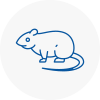 Rat Control N14