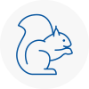 N14 Rodent Removals
