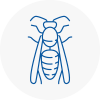 N14 Wasp Nest Removal